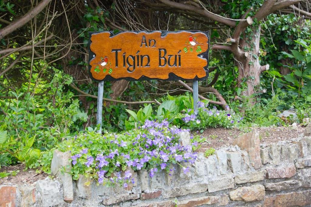 An Tigin Bui Villa Glanbannoo Upper Luaran gambar